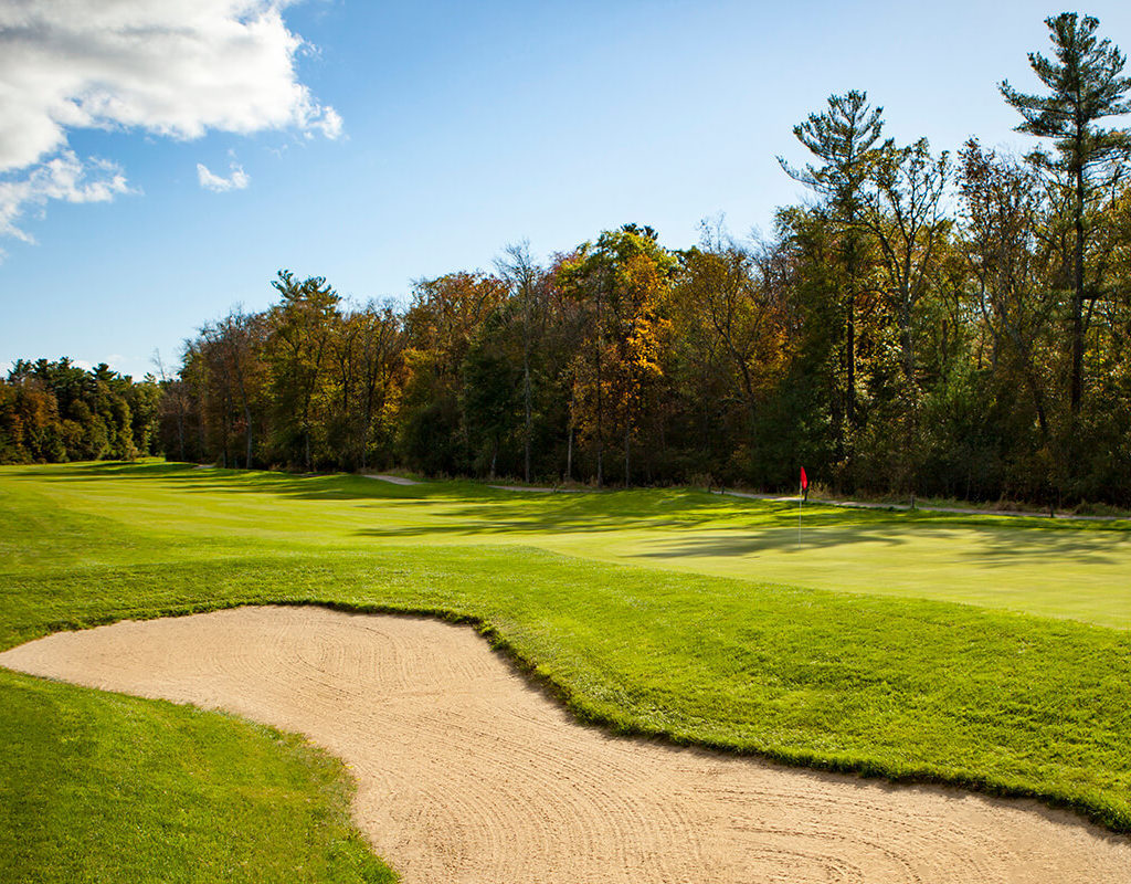 Sand Trap & Fairway